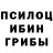 Псилоцибиновые грибы GOLDEN TEACHER Demik TV