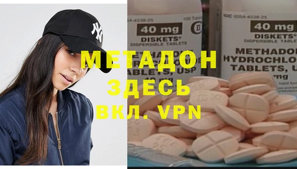 хмурый Аркадак