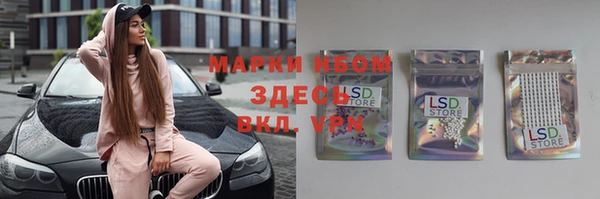 spice Арсеньев