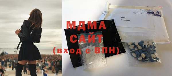 хмурый Аркадак