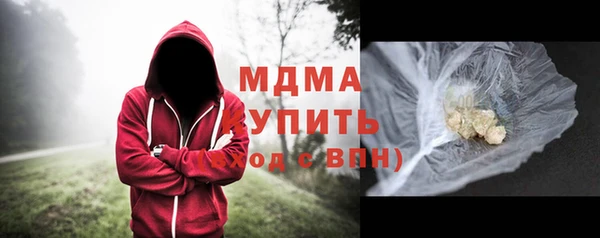 хмурый Аркадак