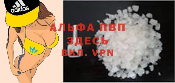 хмурый Аркадак