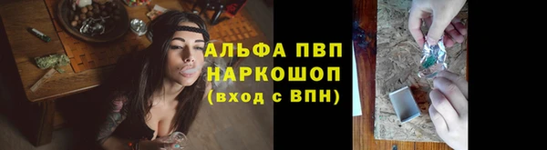 хмурый Аркадак