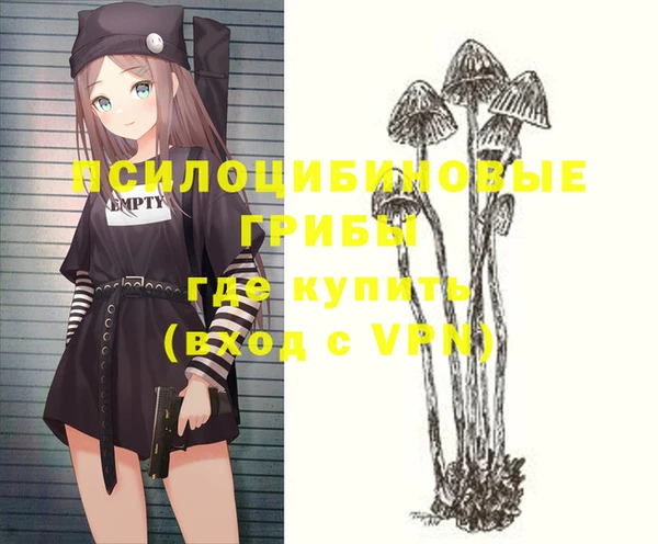 хмурый Аркадак