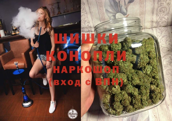 spice Арсеньев