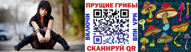Псилоцибиновые грибы прущие грибы  Купить закладки  Орск 